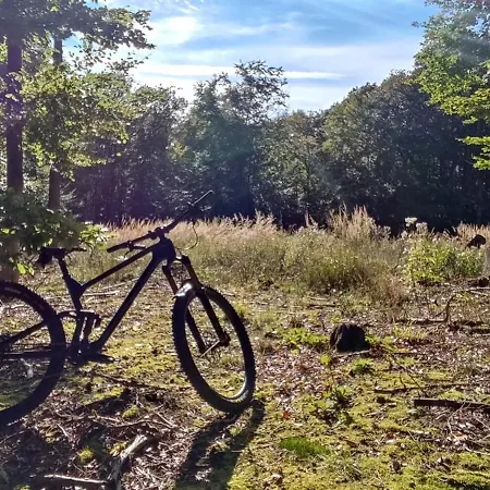 Moehnetal Apartamento