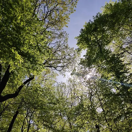 Apartamento Moehnetal *