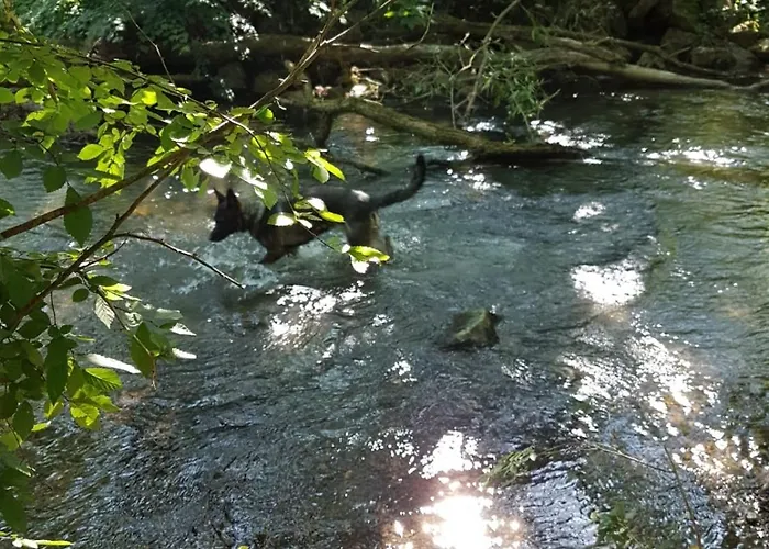 Moehnetal Apartman *