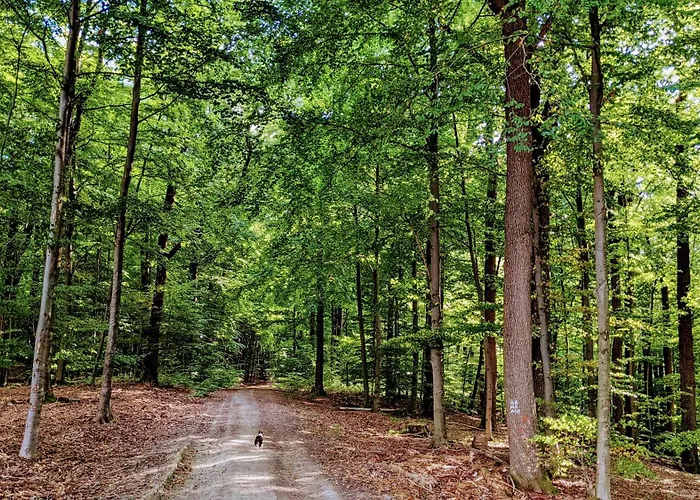 Moehnetal Apartman *