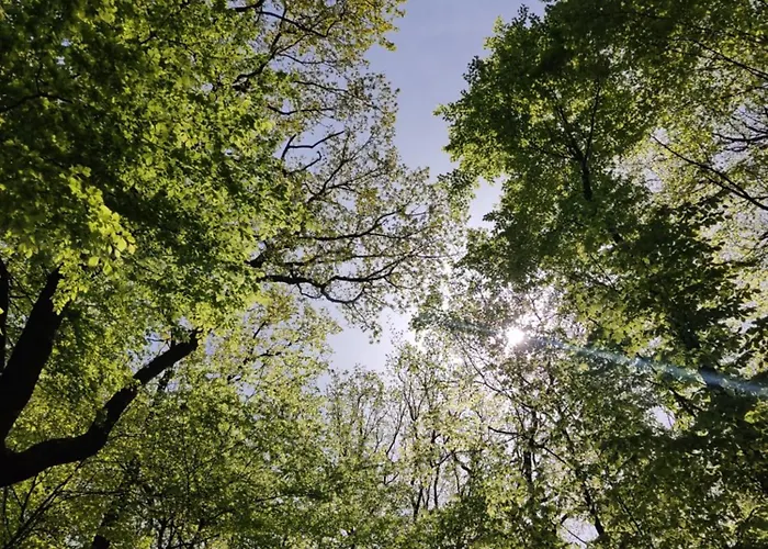 Apartman Moehnetal *